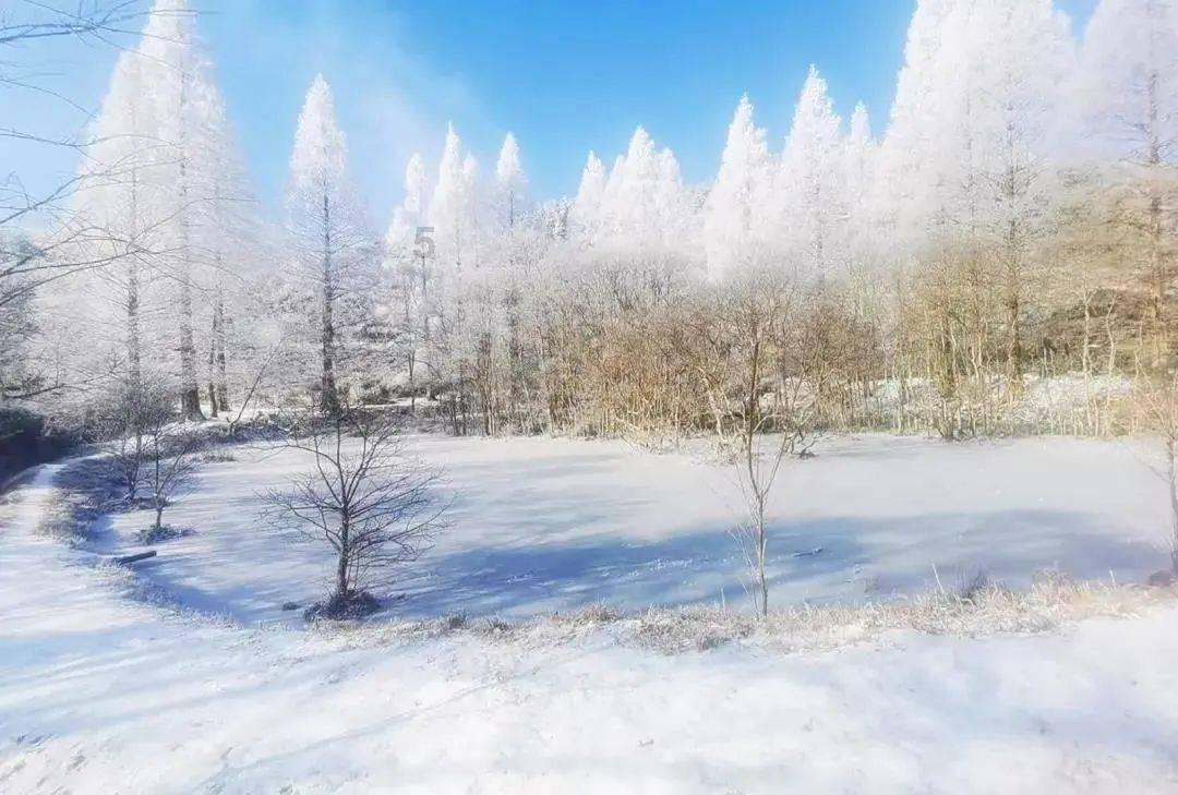 一月二十六号春运已经开始，为期四十天，你怎么回家呢？